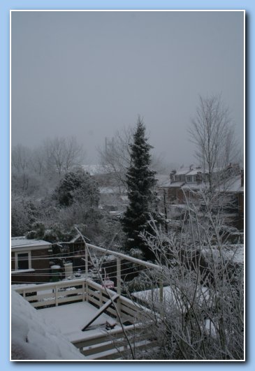 Arnhem Snow 085